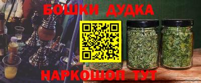 гашик Гусь-Хрустальный