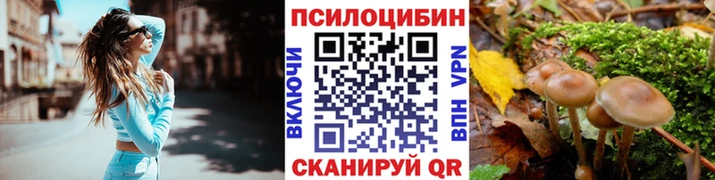 Псилоцибиновые грибы прущие грибы  Нижнекамск 