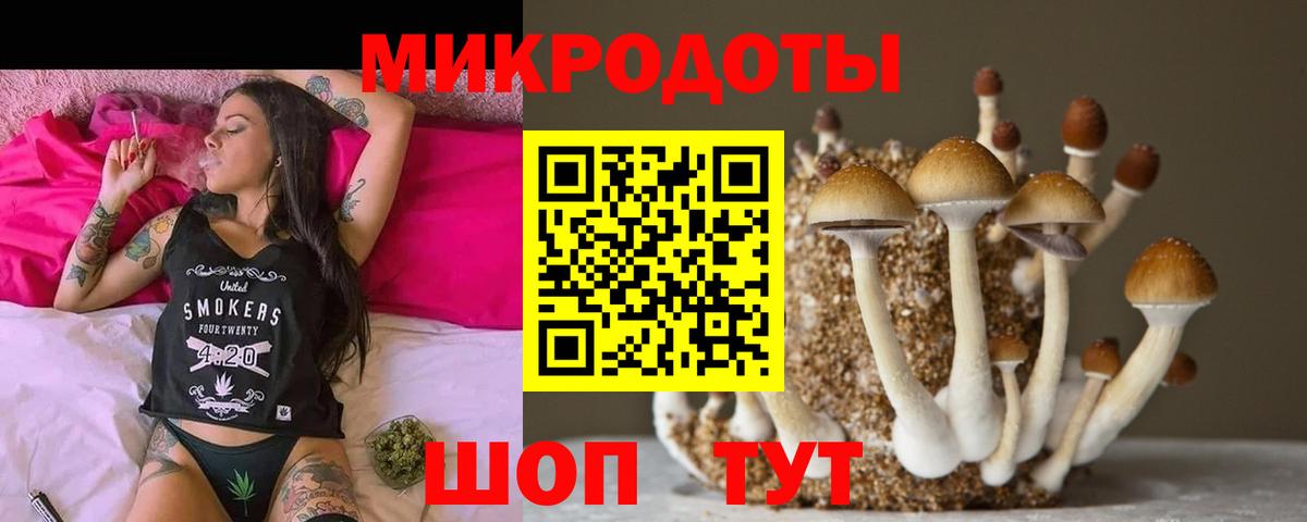 Псилоцибиновые грибы Cubensis Нижнекамск